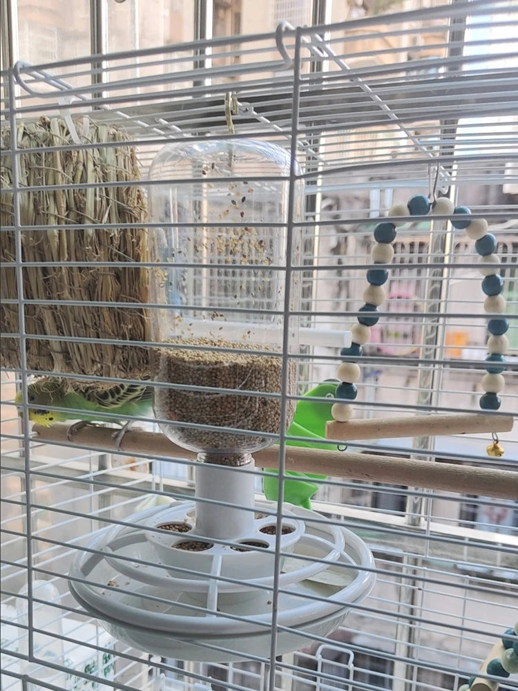 Automatic Bird Feeder