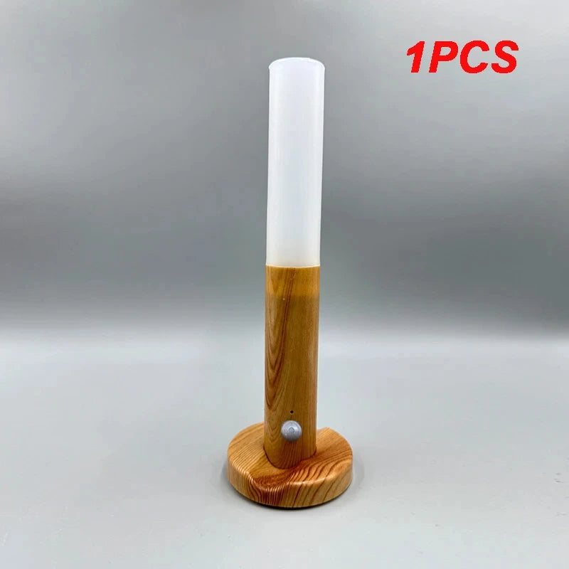 LED Night Human Induction USB Charging Light