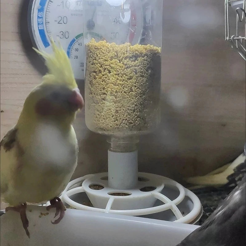 Automatic Bird Feeder