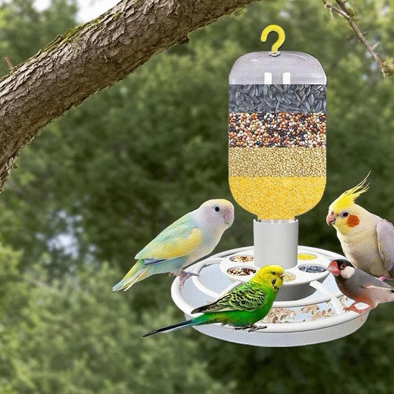 Automatic Bird Feeder