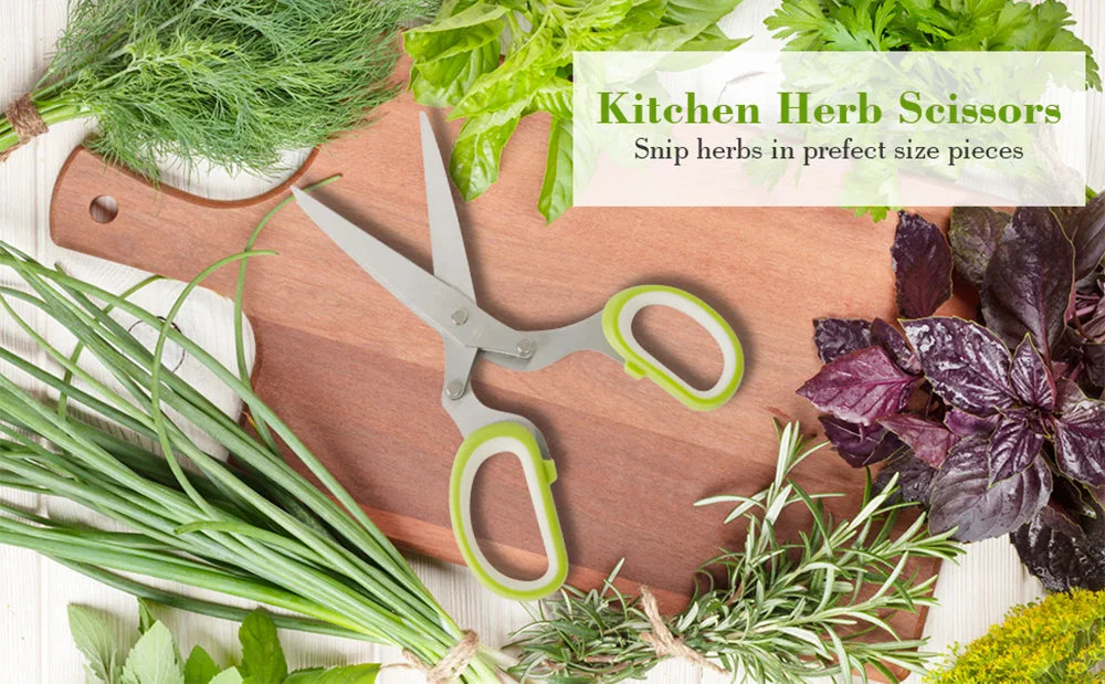 Herbal Scissors Stainless Steel