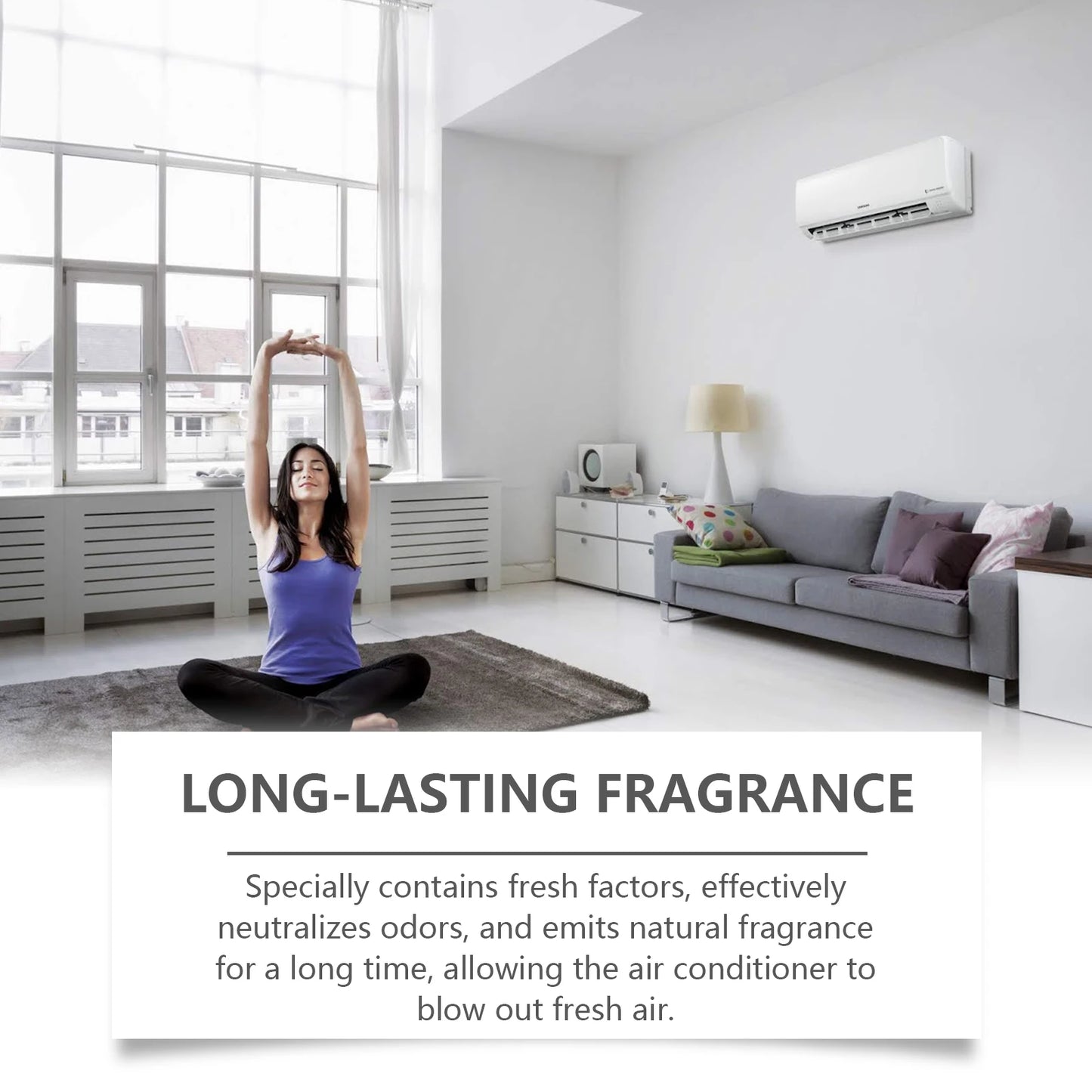 Air Conditioner Cleaner Spray