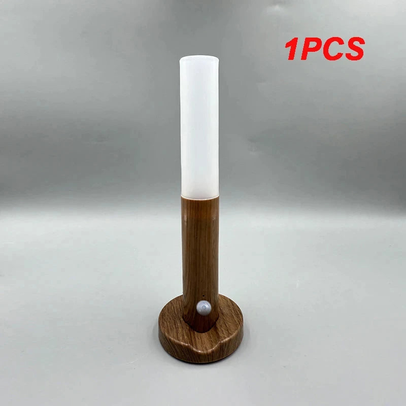 LED Night  Human Induction USB Charging Light