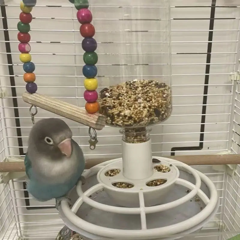 Automatic Bird Feeder