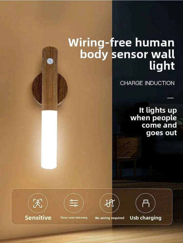 LED Night  Human Induction USB Charging Light