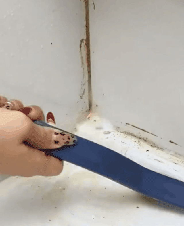 Multi-Purpose Oxalic Acid Stain Removal