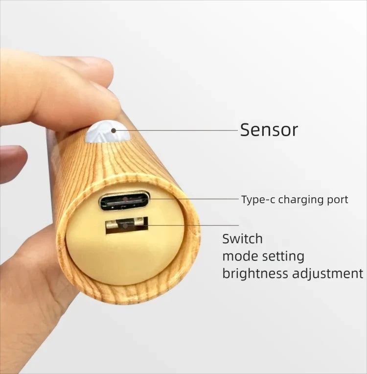 LED Night  Human Induction USB Charging Light