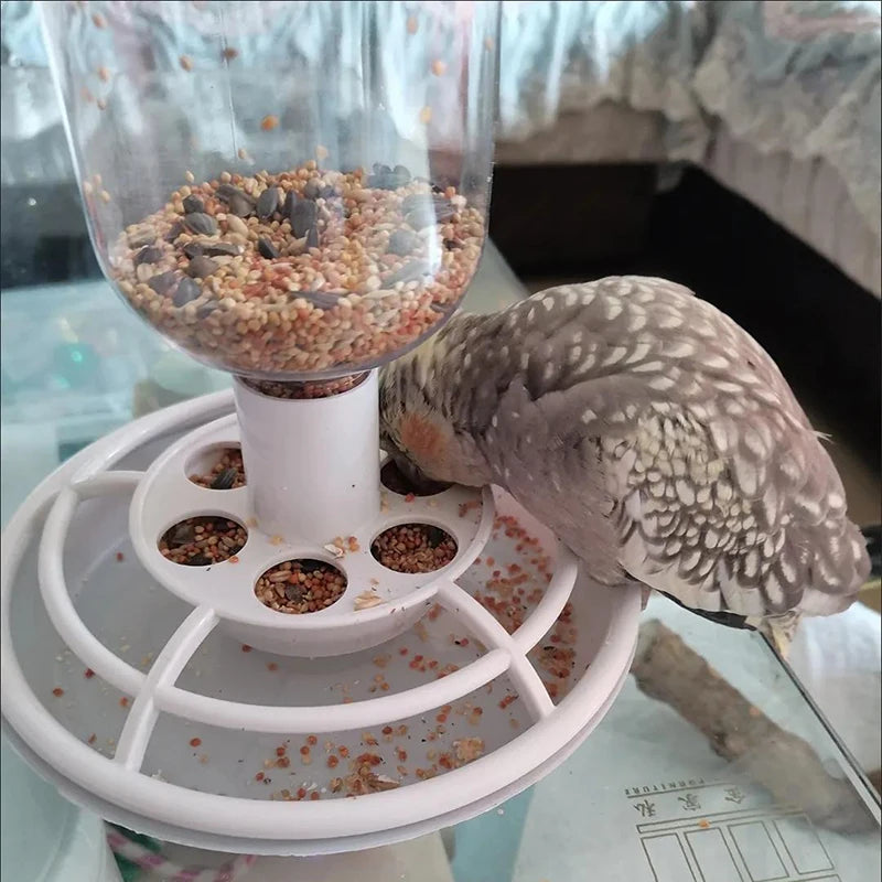 Automatic Bird Feeder
