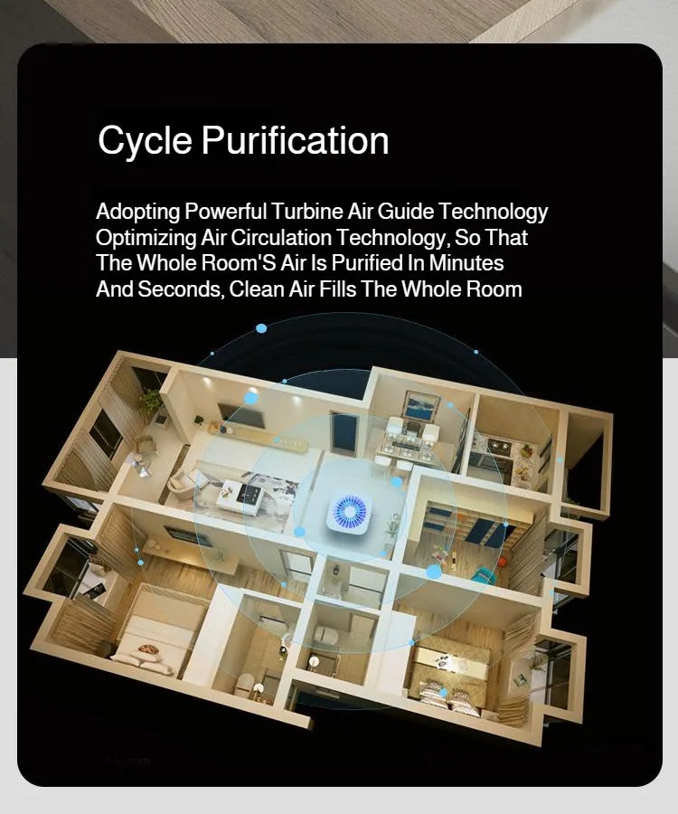 Air Purifier Smoke Odor
