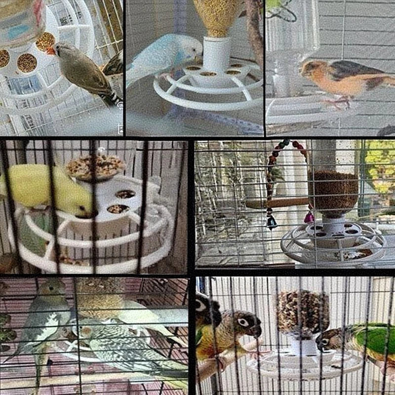 Automatic Bird Feeder