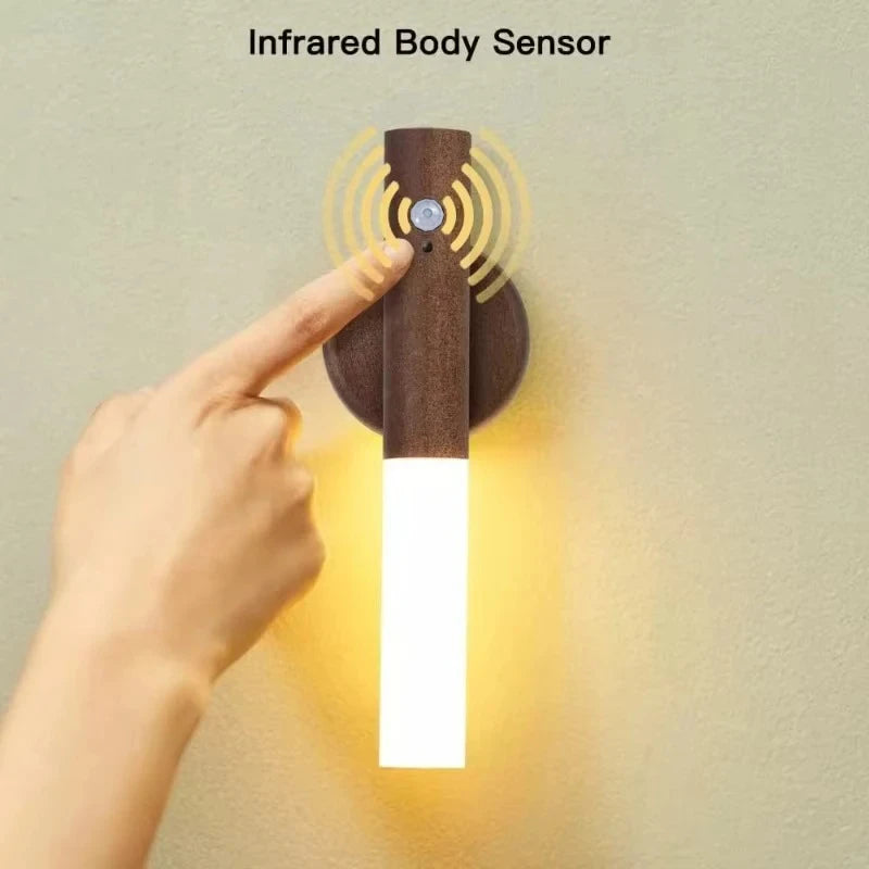 LED Night  Human Induction USB Charging Light
