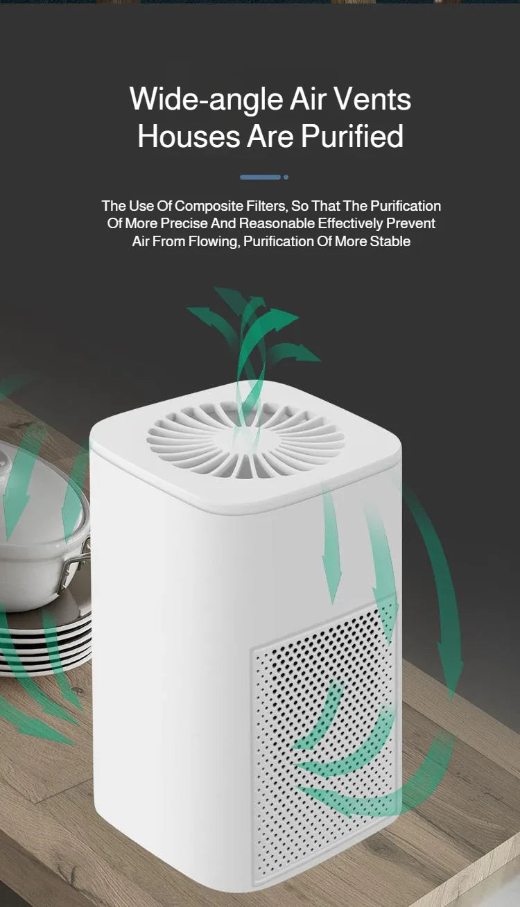 Air Purifier Smoke Odor
