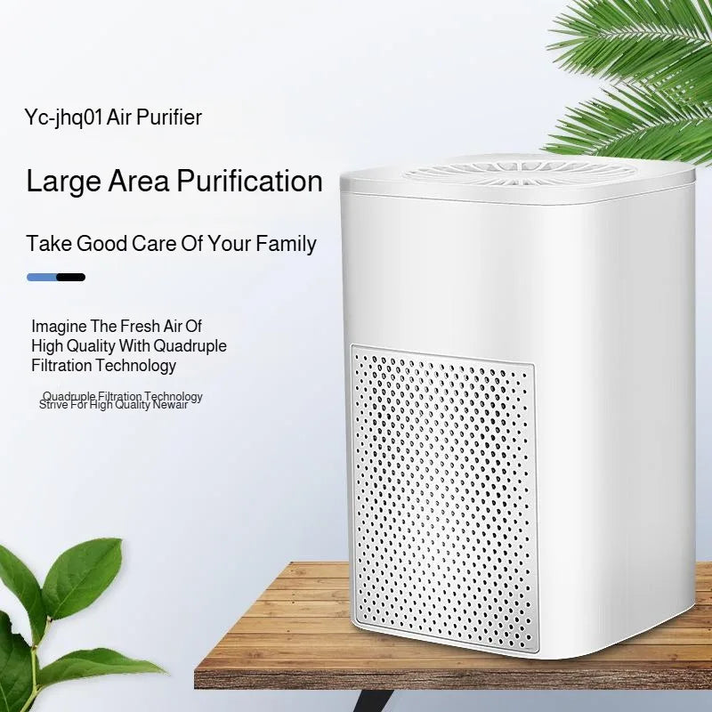 Air Purifier Smoke Odor