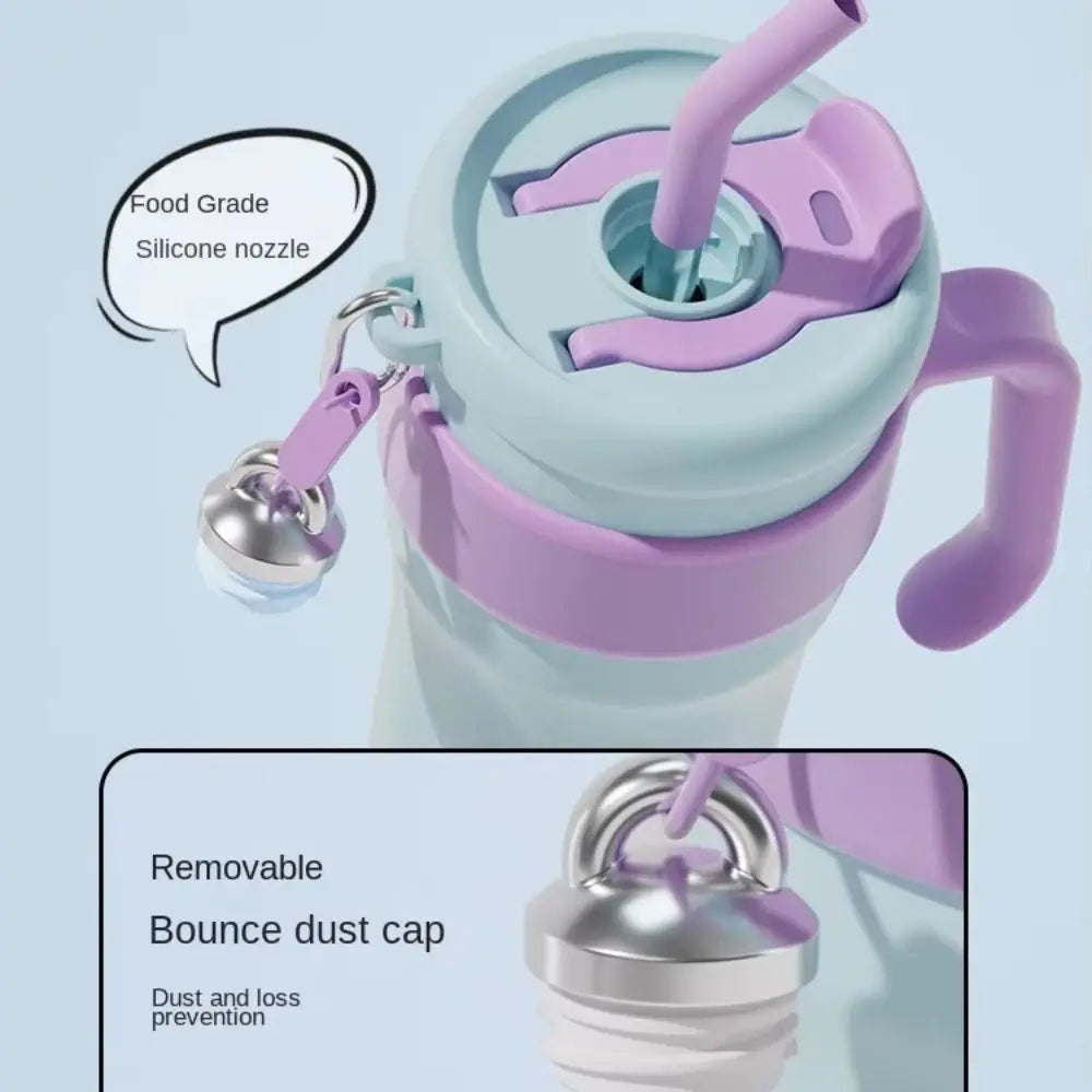 With Straw Insulated Water Bottle